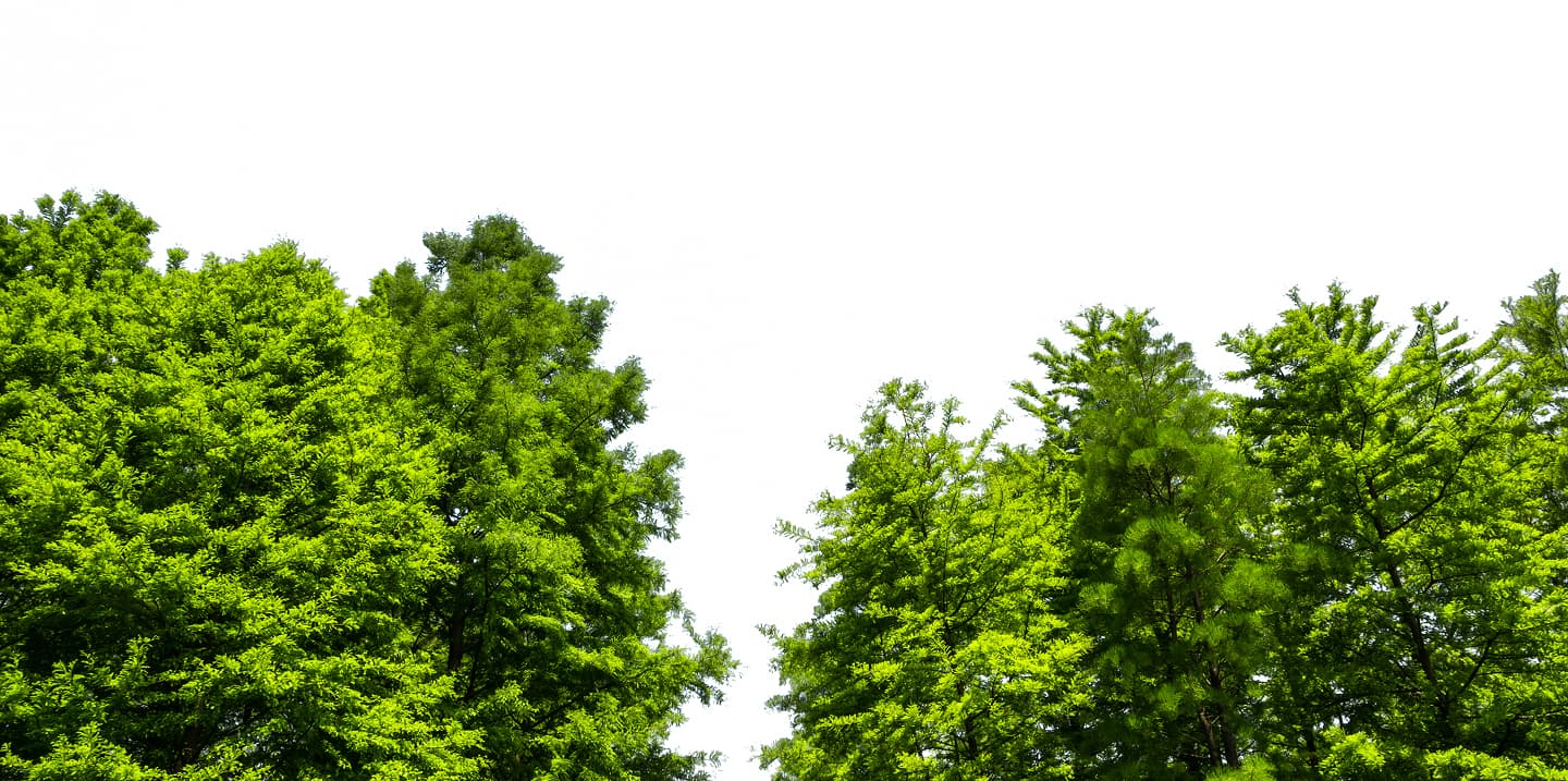 Alberi e verde urbano GE.CO.S.