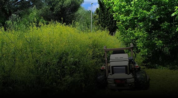 Gestione aree boschive